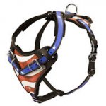 Hundegeschirr aus Leder mit Bemalung \"American Pride\"_0