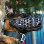 Geschlossener Ledermaulkorb mit Stacheldraht Bemalung für Malinois_1