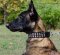 Leder Hundehalsband für Malinois mit 3 Reihen Pyramiden ▲