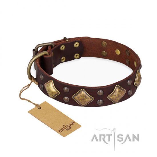 Leder Hundehalsband braun "Golden Square" FDT Artisan, prächtig