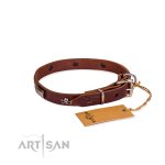 Hundehalsband Leder im einzigartigem Design, 20 mm breit_6