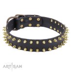 Extraordinary Leather Dog Collar 3 cm_1