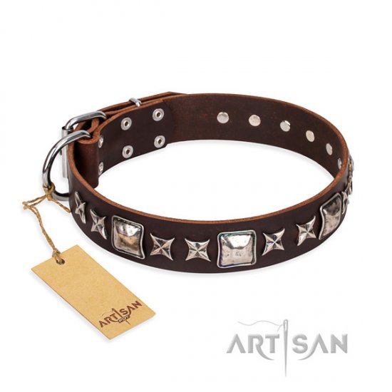 Hundehalsband Leder in Braun "Perfect Impression" FDT Artisan