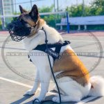 Schwarzer Drahtmaulkorb mit Filz-Polsterung für American Akita_4
