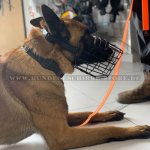 Maulkorb aus Draht für Malinois, perfekte Luftzirkulation_1