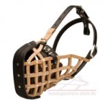 Leder Maulkorb mit Metall Platte, super stark_0