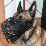 Maulkorb aus gummiertem Draht für Malinois Hund_0