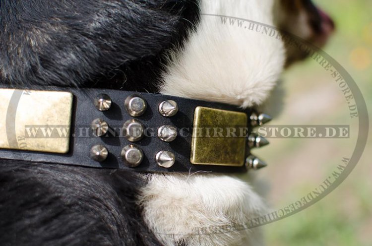 Mountain Dog Collar | Leather Dog Collar Super!