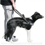 Blindenführhundgeschirr für Border Collie Superangebot!_0