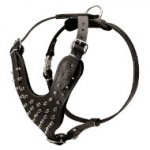 Dekoriertes Brustgeschirr Leder mit Spikes-Nieten Groß in Schwarz_0