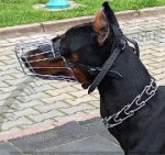 Dobermann Drahtmaulkorb - Bester Beißkorb aus Chrom-Stahl_0