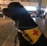 Rottweiler Kenndecke für Helfer-, Rettungs- und Therapiehund_0