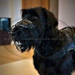 Dog Harness for Agitation Work | Power Training Harness_4