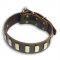 Gorgeous Wide Leather Dog Collar With Lateral Brass Plates