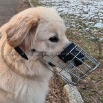 Draht Maulkorb für Golden Retriever, leichte Konstruktion_1