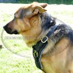 Hundegeschirr Leder TOP-Klasse | Hunde-Ledergeschirr fein_10