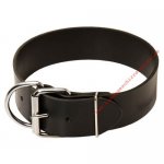 Halsband aus Leder 50 mm breit für Hundesport_1