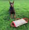 Beißkissen aus Jute mit 3 Schlaufen für Dobermann