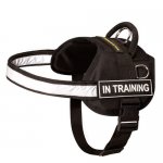 Praktisches Nylon Geschirr für Welpen | Welpen Sattelgeschirr_3