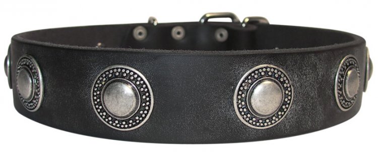 Hundehalsband aus Leder mit Silber-Concho