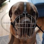 Metall Maulkorb aus Stahldraht für Cane Corso Hund_3