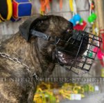 Bullmastiff Maulkorb aus Gummiertem Draht gut belüftet_0