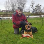 Lederpeitsche für Hundtraining für Schutzhund und Hetztraining_3