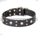 Exklusives Halsband \'Heavy Metal\', Echtleder_11