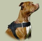 Hundegeschirr aus Nylon Pitbull K9_0