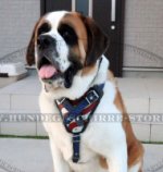 Bemaltes Hundegeschirr für St. Bernhardshund im USA Stil_0