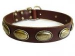 Retro-Stil Hundehalsband aus Leder