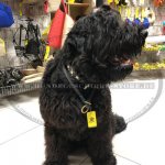Riesenschnauzer Erziehungshalsband aus rundem Leder_4