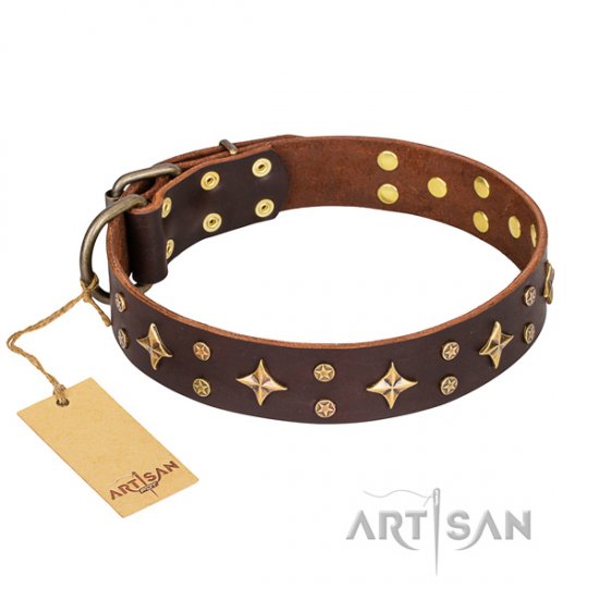 Halsband für Hunde "High Fashion"FDT Artisan, echtes Leder