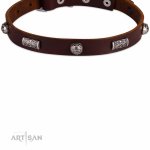 Schickes Hundehalsband \"Barock\" mit gravierten Kugeln und Platten_3