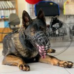 Maulkorb Draht gummiert für Deutschen Schäferhund, praktisch_4