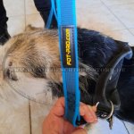 Nylon Hundeleine blau_4