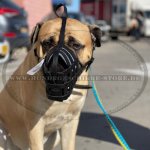 Ledermaulkorb Netzform für Bullmastiff_1