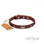 Hundehalsband Leder im einzigartigem Design, 20 mm breit_0