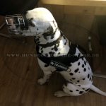 Dog Harness K9 with Patches Nylon for Dalmatian_1