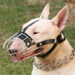 Bull Terrier Maulkorb aus Draht hochwertig ➉_0