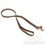 Lederleine mit 2 Handschlaufen Geflochten und Haltbar