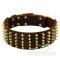 Breites Hundehalsband aus Leder mit Spikes