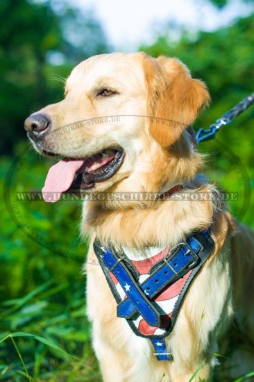 Hundegeschirr Leder für Golden Retriever mit USA-Flagge-Bemalun