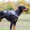 Hundegeschirr Nylon für Tragen | Hundeweste für Dobermann