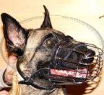 Maulkorb aus Draht für Belgischen Schäferhund