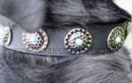 Hundehalsband aus Fettleder für Sennenhund mit blauen Steinen