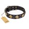 Leder Hundehalsband schwarz "Fancy-Schmancy" FDT Artisan