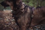 Hundegeschirr Leder für Gassigehen und Mantrailing ❺_1