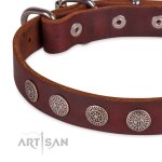 Hundehalsband aus Leder für Alltag im Baroque Design_4
