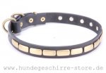 Originelles Lederhalsband mit Messing Platten für Bulldogge_2